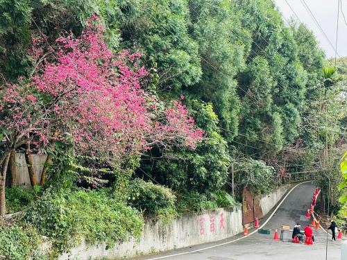 a road with pink flowers on the side of a hill at Yue Ya Villa in Puli