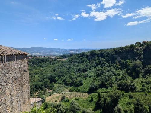 Φυσικό τοπίο κοντά σε αυτό το διαμέρισμα