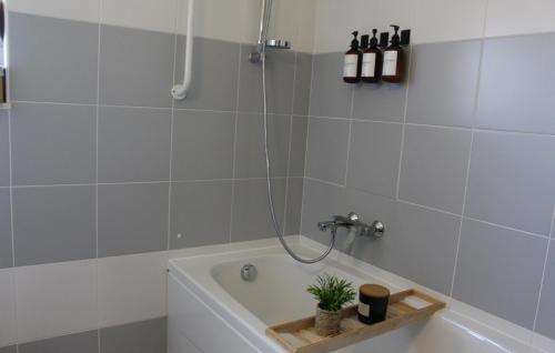 a bathroom with a tub with a shower and a plant in it at Family Dream Dalmatia - Split by Villas Guide in Košute