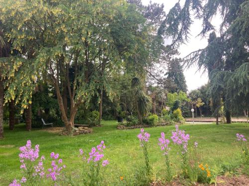 a park with purple flowers in the grass at Appartement dans un parc arboré privé in Bégard