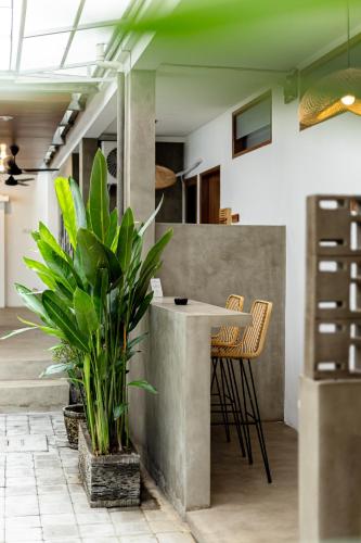 a dining room with a table and a plant at SNUG Kuta in Kuta