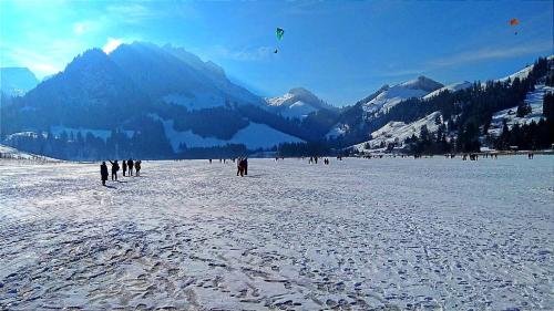 a group of people flying kites in the snow at Ferienwohnung Kassler - nur 300m vom See in Schwarzsee