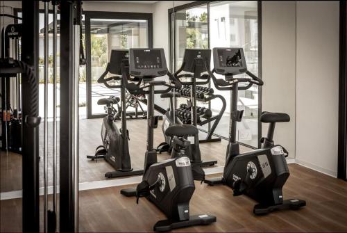 Gimnasio o instalaciones de fitness de Kalamon Luxury Suite 105 with Pool and Gym