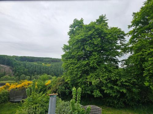 a view from the garden of a house with trees at La Source d'Arimont in Malmedy