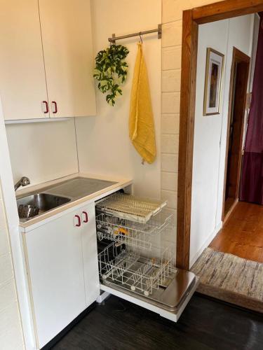 a kitchen with a dish rack in a dishwasher at Exklusiver Seetraum am Attersee direkt am See in Litzlberg