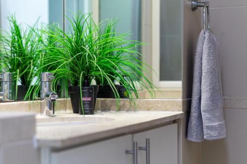 un lavandino del bagno con una pianta in uno specchio di 2 Bedroom Seaview, Holiday Apartment, Lagoon Beach a Città del Capo