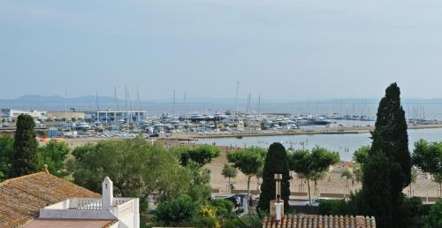 Apartamento Marina Roses 4