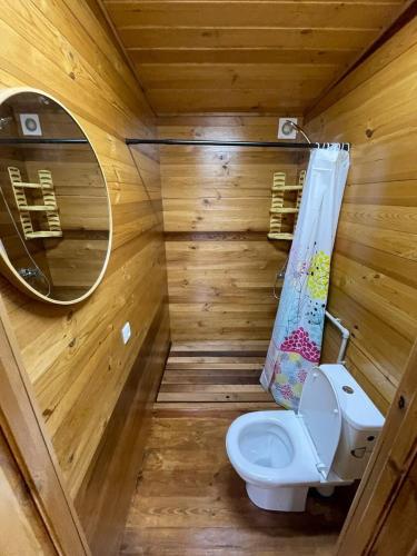 a wooden bathroom with a toilet and a mirror at Sava Dream in Zhytomyr