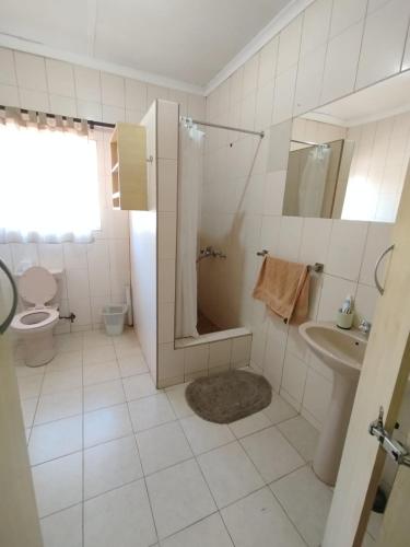 a bathroom with a shower and a toilet and a sink at Faraaz BnB in Ladysmith