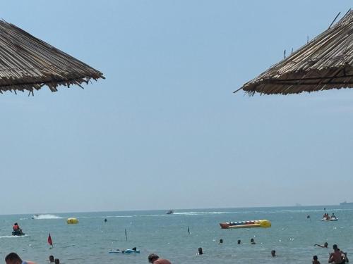 Φυσικό τοπίο κοντά σε αυτό το διαμέρισμα