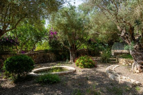 Zahrada ubytování Finca Son Moix