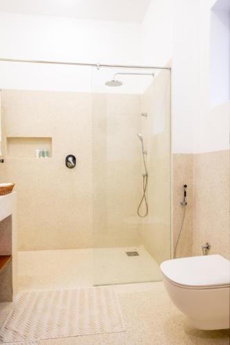 a bathroom with a shower and a toilet at Sandcastle 2 Apartment in Galu