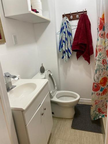 a bathroom with a white sink and a toilet at Cozy 1-Bedroom Basement Apartment in Brampton