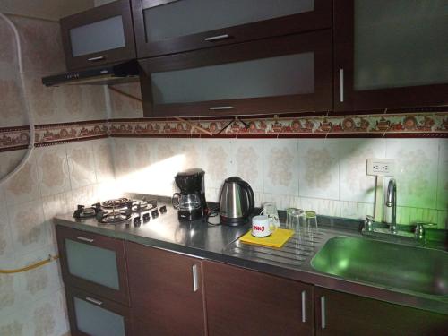 a kitchen counter with a stove and a sink at Hostal Villa Laurita in Riofrío