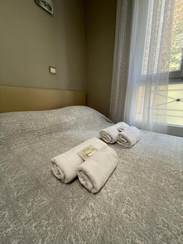 a bed with towels on it with a window at Hôtel de l'Aveyron in Paris
