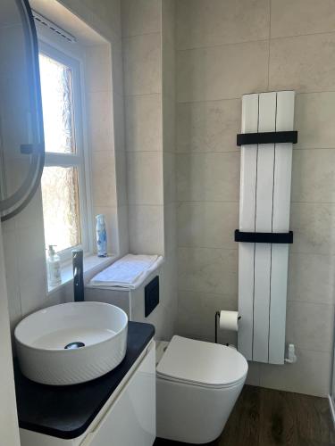 a bathroom with a sink and a toilet and a window at Meadow House- Driveway Parking and Fireplace in East Kilbride