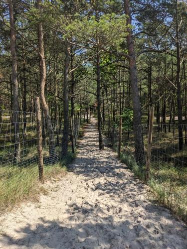 a dirt road with trees on both sides at Premium Holidays Apartamenty przy plaży in Rowy