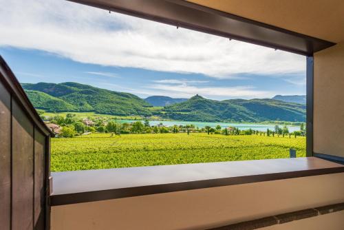 a window view of a green field and mountains at Garni Hotel Sonnleitenhof in Caldaro