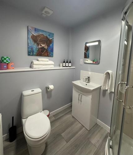 a bathroom with a toilet and a sink at The Inver Nest in Inverness