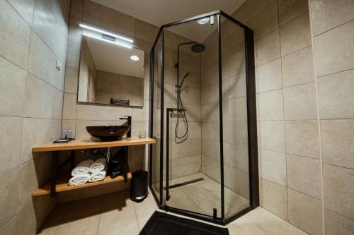 a shower stall in a bathroom with a sink at Rooms at Podlipje Estate in Tešanovci