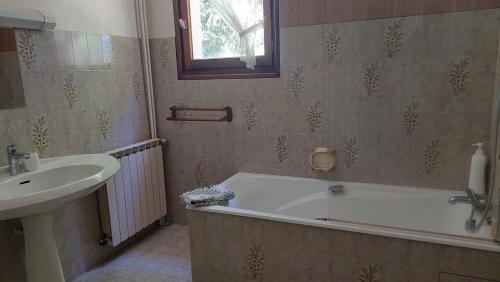 a bathroom with a bath tub and a sink at Les balcons du Haut-Forez in Chalmazel Jeansagniere