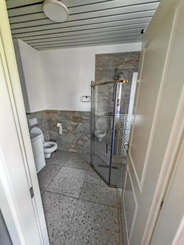 a bathroom with a shower and a toilet at Little Bucharest downtown apartments Romana in Bucharest