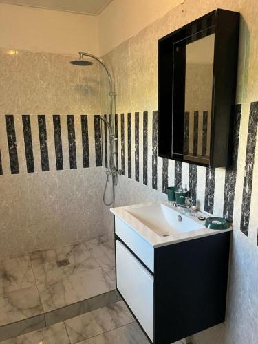 a bathroom with a sink and a shower and a mirror at SteilaDay Hébergement 976 in Pamandzi