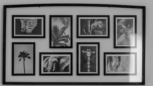 a group of pictures of animals on a wall at Charming house with garden, center of Puilboreau in Puilboreau