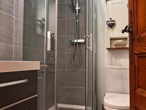 une salle de bain avec une douche avec des toilettes et un lavabo dans l'établissement Chalet 3 Pièces 6 Pers. à Châtel - Balcon, Proche Remontées, Parking, Multi Pass Inclus - FR-1-676-179, à Châtel