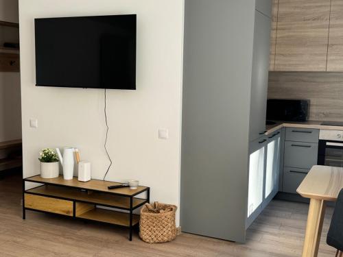 Kuchyň nebo kuchyňský kout v ubytování Center Studio type apartment