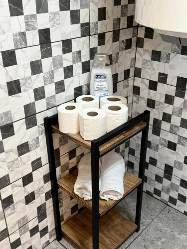 a shelf with toilet paper and a bottle of bleach at Vekova koliba in Žabljak