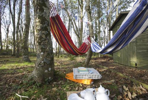 two hammocks hanging from a tree in the woods at Woodlands in Newquay