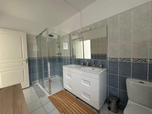 a bathroom with a sink and a mirror and a toilet at Kaz Arvor in Saint-Leu