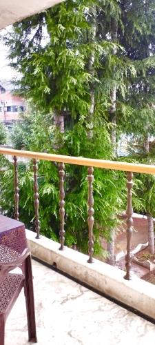 a view of a tree from a balcony at Greenoriva - D2 - Greenery & Peace in Srinagar