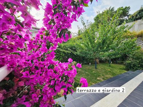 a bunch of purple flowers on the side of a sidewalk at CasaVacanze Nichi vista mare in Grottammare