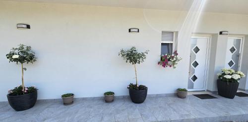 Taman di luar Villa Sveta Obitelj