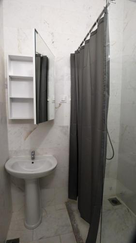 a bathroom with a shower and a sink at Elit Apartmani in Ulcinj