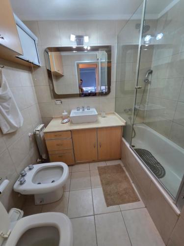 a bathroom with a sink and a toilet and a shower at Dreamy views in Ushuaia