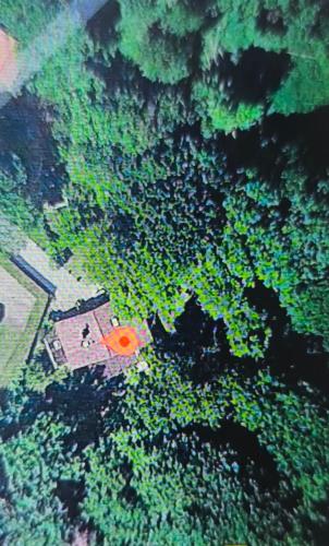 an overhead view of a house in a forest of trees at Studio autonome magnifique TB situé Chaumont-Gistoux in Chaumont-Gistoux