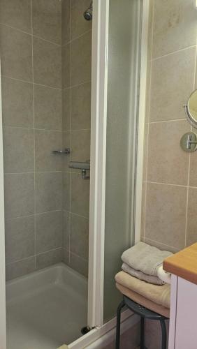 a bathroom with a shower and a bath tub at Hostellerie Daiseldaele in Dadizele