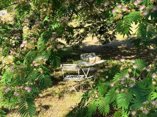 a table and two chairs sitting under a tree at Chambre et suite chez l'habitant Le champ des lucioles in Tour-de-Faure