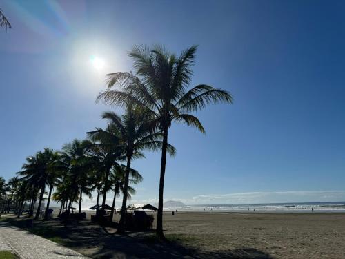 a row of palm trees on a sandy beach at Pousada Cantinho Oriental in Bertioga