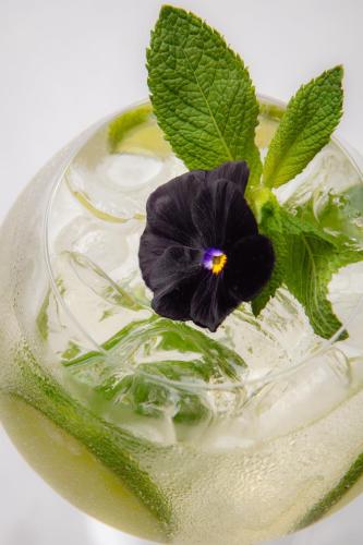 a drink with a purple flower on top of it at Boutique Spa Casino Hotel Lybid Plaza in Khmelʼnytsʼkyy