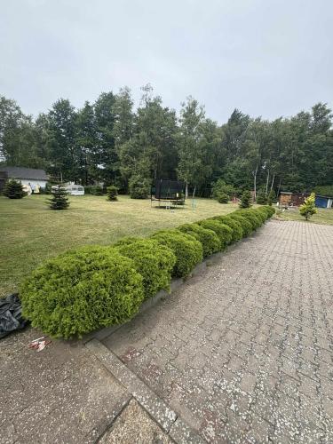 ボボリンにあるCichy Zakątekの公園の隣にある茂み