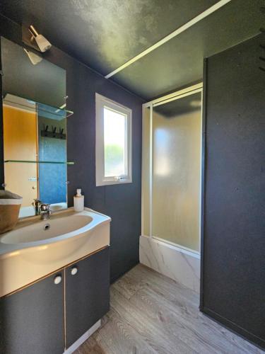 une salle de bain avec un lavabo et une douche dans l'établissement la petite bulle, à Montagnat