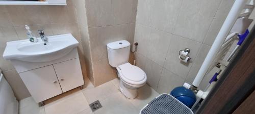 a small bathroom with a toilet and a sink at Monaco Summerland Rentals in Mamaia