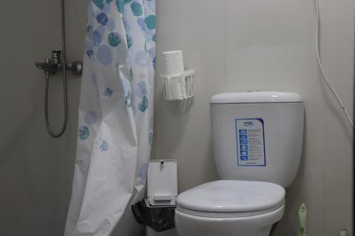 a bathroom with a toilet with a shower curtain at Naryn Guest House in Naryn
