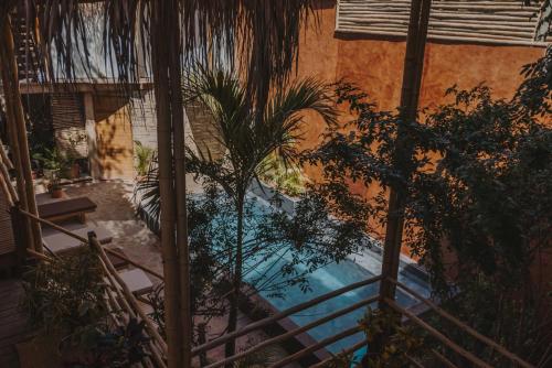 an overhead view of a swimming pool with plants at Eco Lodge Mancora in Máncora