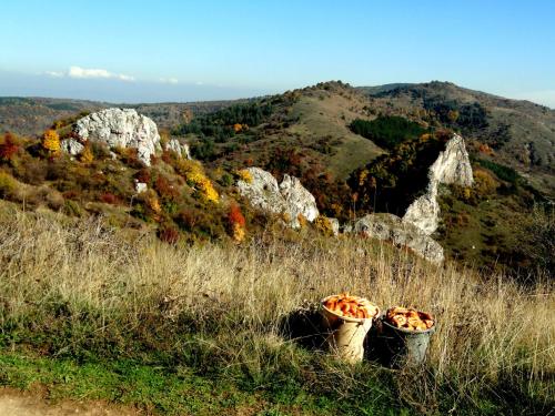 two buckets of food sitting on top of a mountain at Hotel Aleksievata Kashta in Gurgulyat