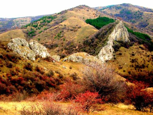 a view of a mountain with rocks and trees at Hotel Aleksievata Kashta in Gurgulyat